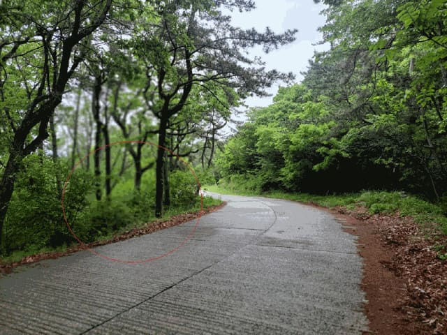 B000412202501300005342.jpg