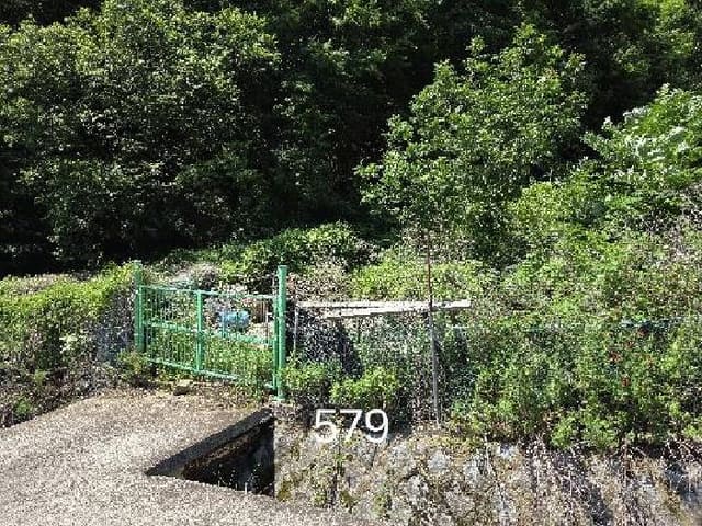 B000412202501300005794.jpg