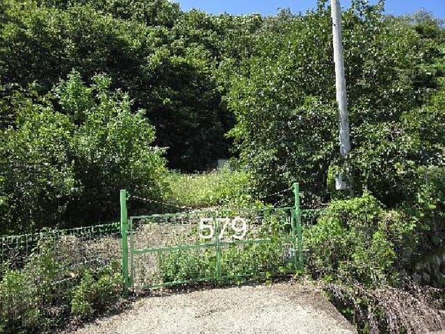 B000412202501300005791.jpg