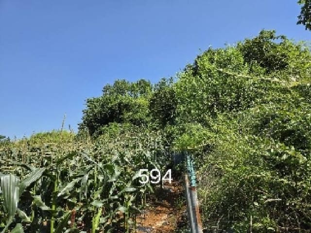 B000412202501300005943.jpg