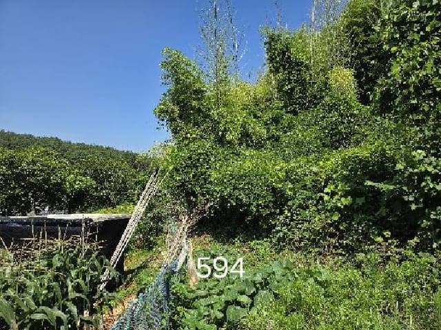 B000412202501300005942.jpg