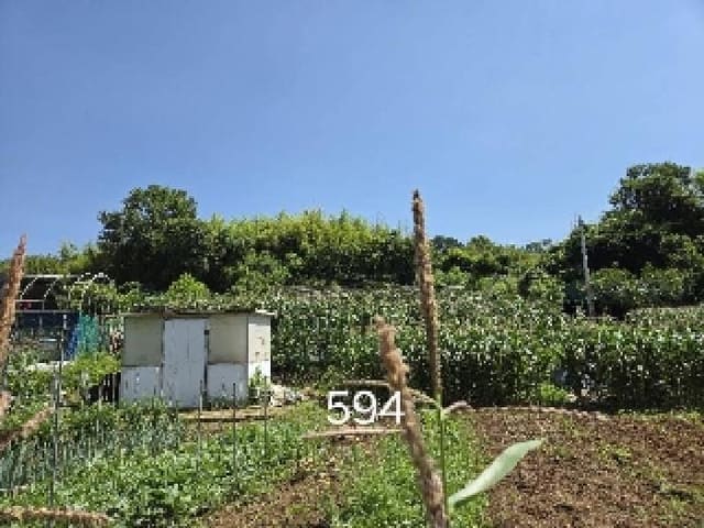 B000412202501300005944.jpg