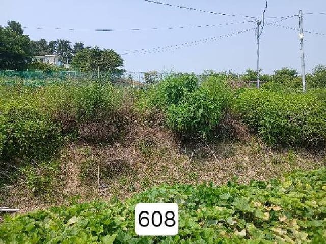 B000412202501300006081.jpg