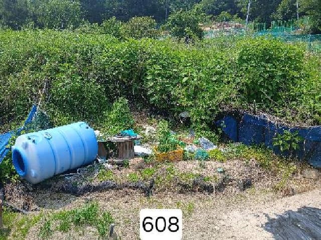 B000412202501300006083.jpg