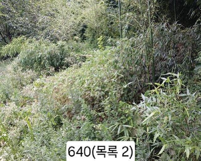 B000412202501300006403.jpg