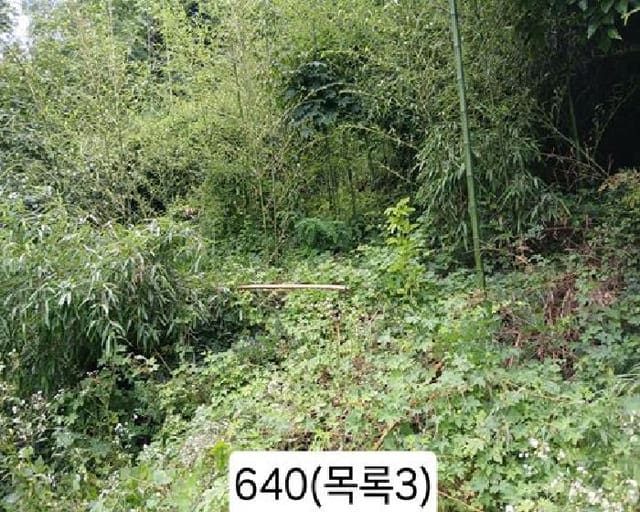 B000412202501300006404.jpg
