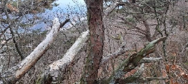 B0004122025013000446111.jpg