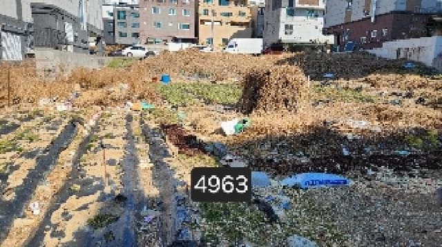 B000412202501300049631.jpg
