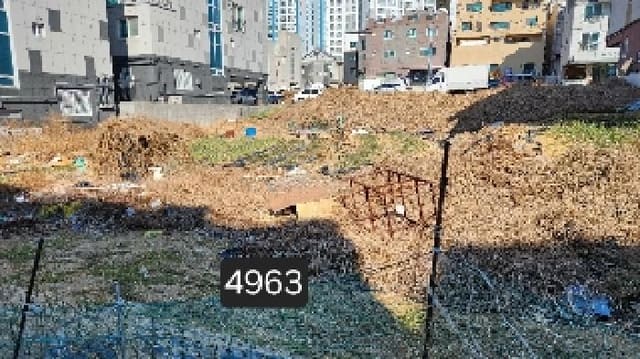 B000412202501300049632.jpg