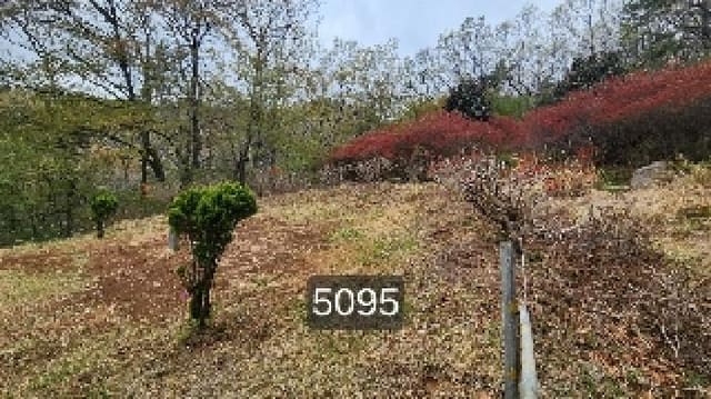 B000412202501300050951.jpg