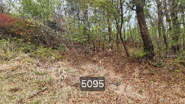 B000412202501300050954.jpg