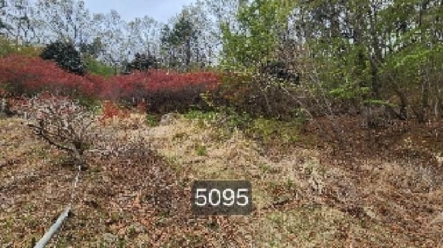 B000412202501300050952.jpg