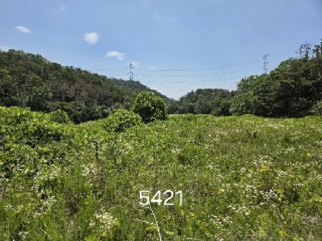 B000412202501300054211.jpg