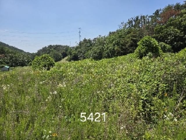 B000412202501300054213.jpg