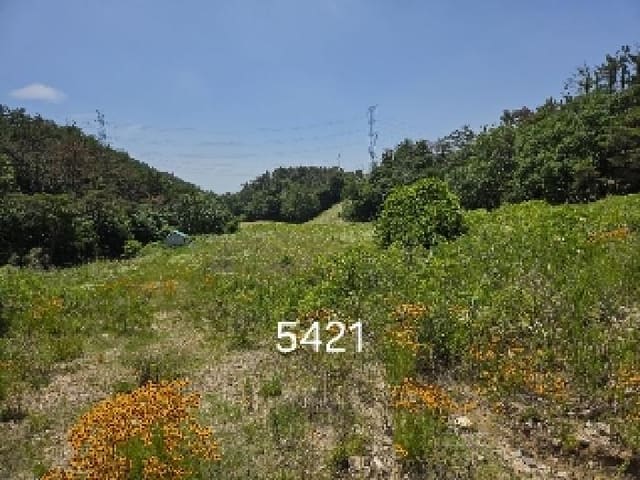 B000412202501300054214.jpg