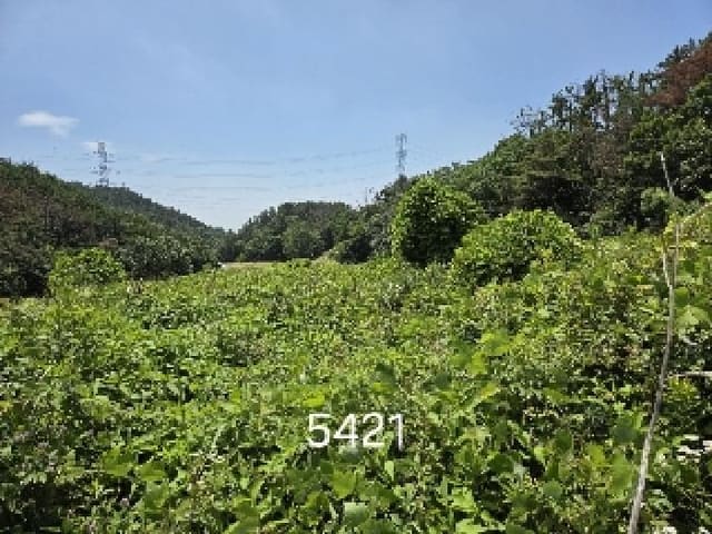 B000412202501300054212.jpg