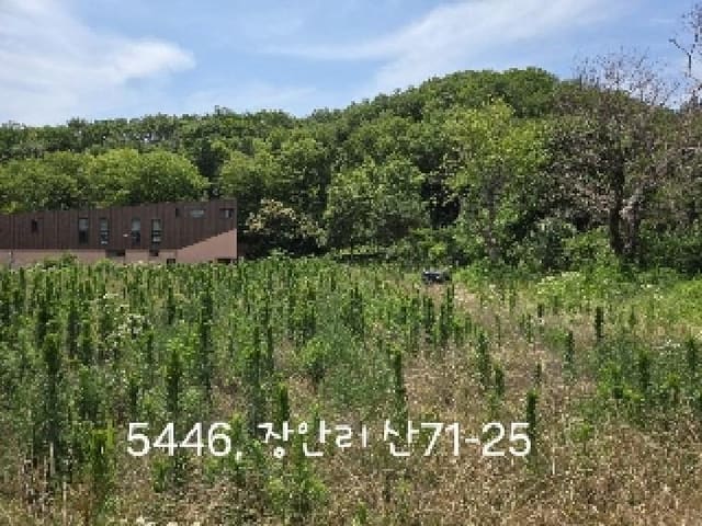 B000412202501300054462.jpg