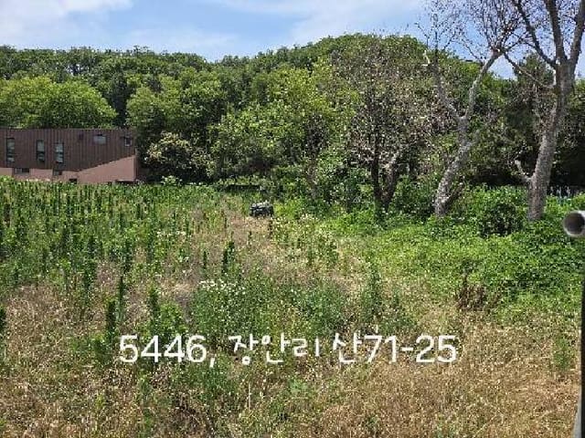 B000412202501300054461.jpg