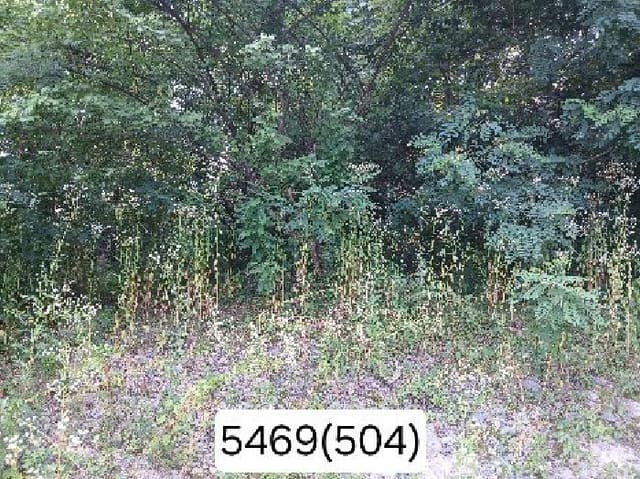 B000412202501300054691.jpg