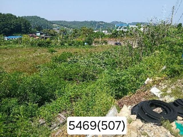 B000412202501300054694.jpg