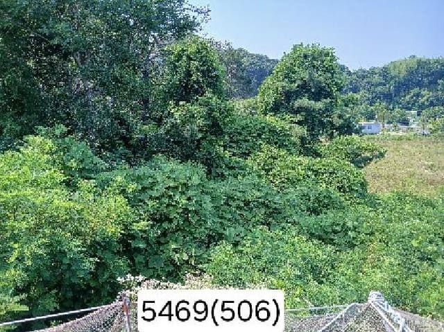 B000412202501300054693.jpg