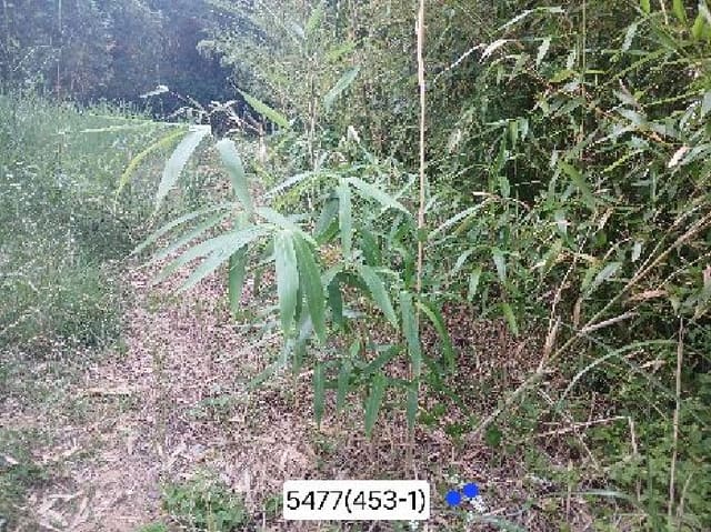 B000412202501300054774.jpg