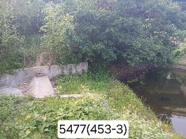B000412202501300054772.jpg