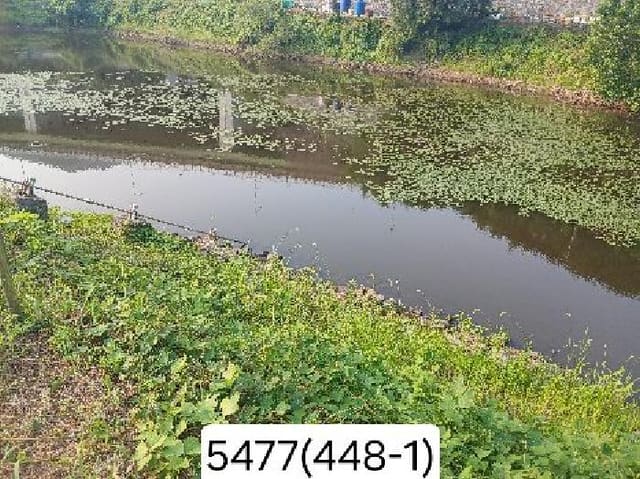 B000412202501300054771.jpg