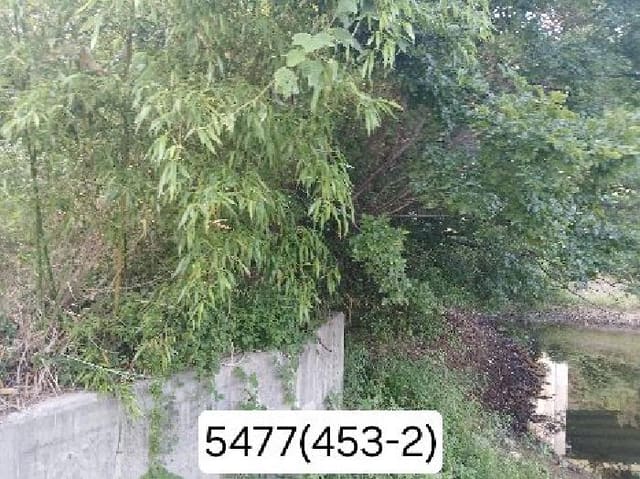 B000412202501300054773.jpg