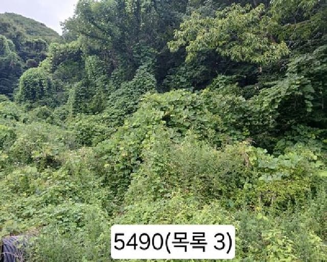 B000412202501300054903.jpg