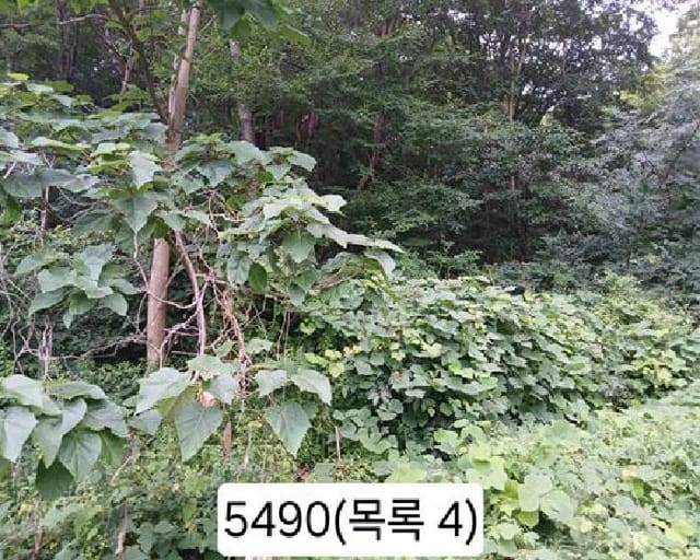 B000412202501300054904.jpg