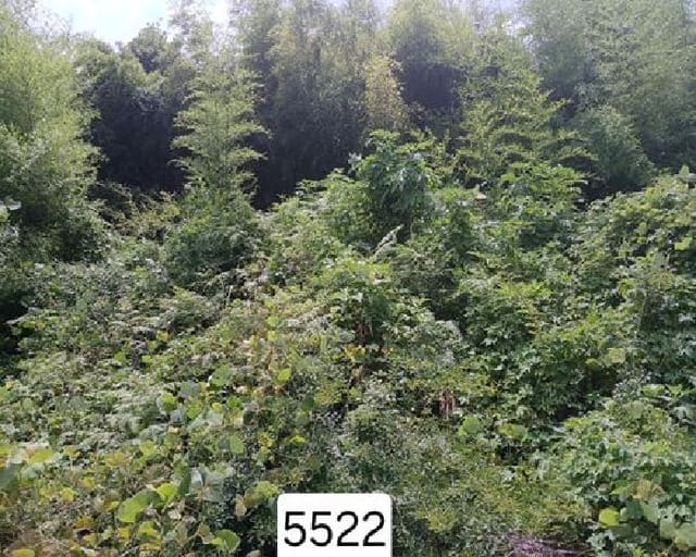B000412202501300055221.jpg