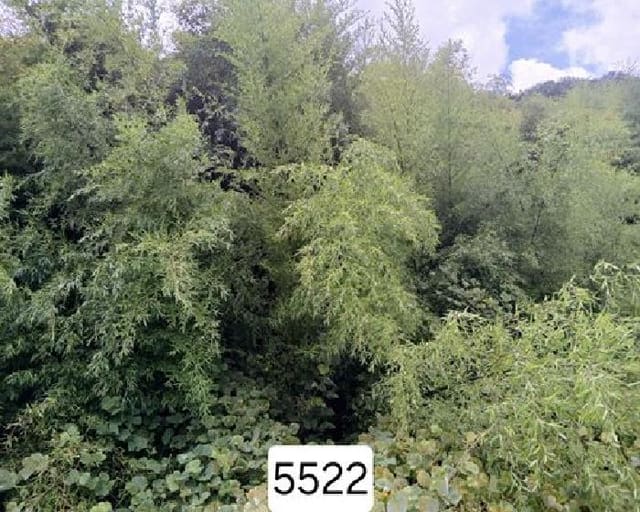 B000412202501300055222.jpg