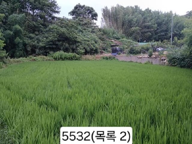 B000412202501300055323.jpg