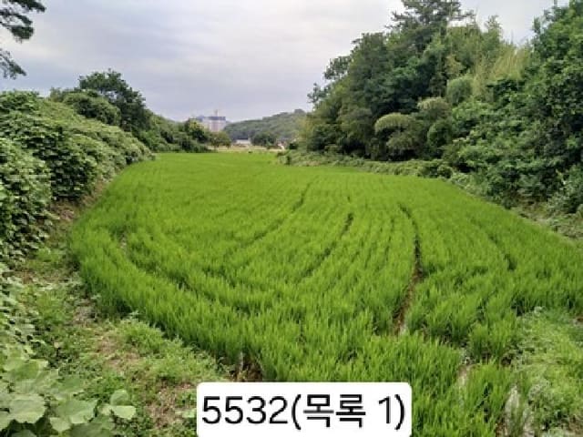 B000412202501300055321.jpg