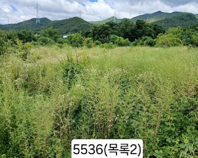 B000412202501300055363.jpg
