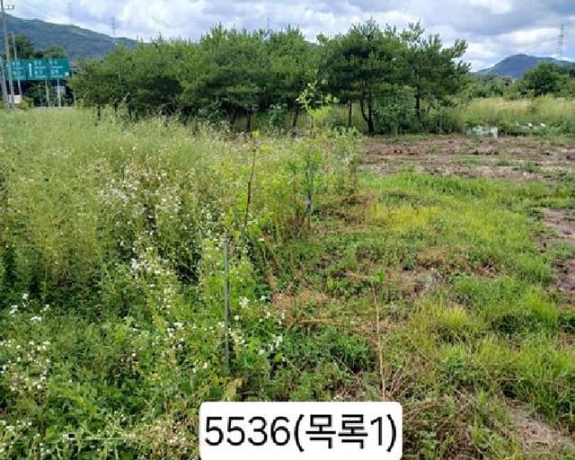 B000412202501300055361.jpg