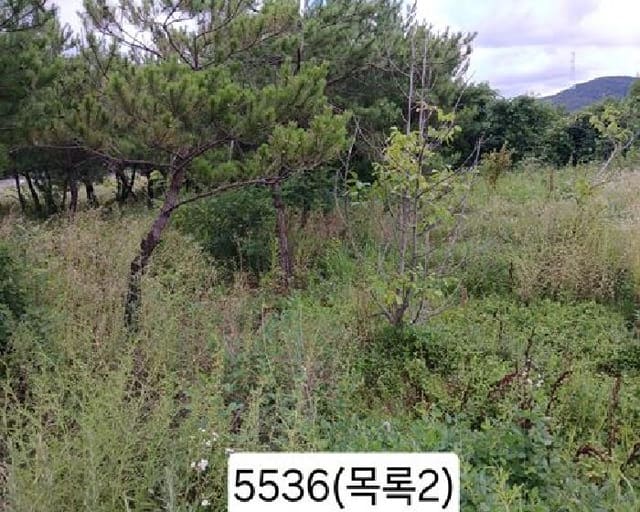B000412202501300055364.jpg