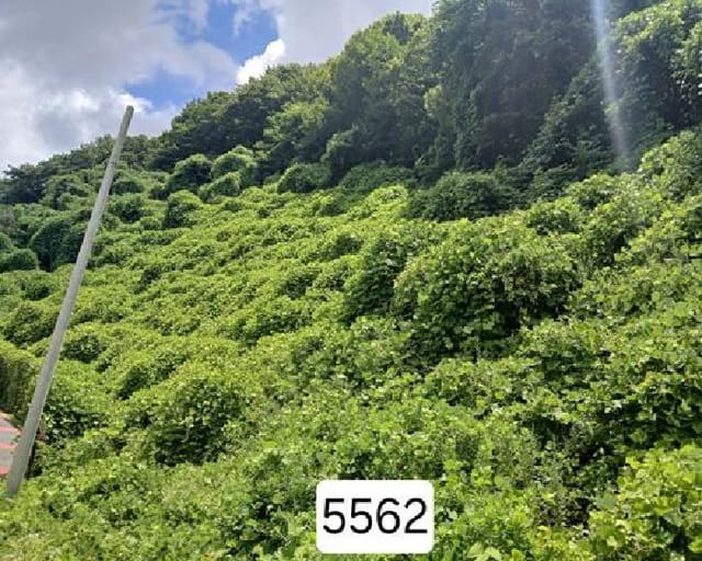 B000412202501300055621.jpg