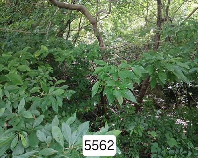 B000412202501300055623.jpg
