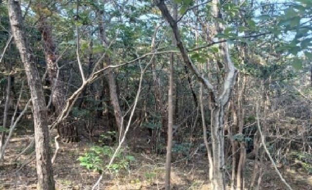 B000412202501300059673.jpg