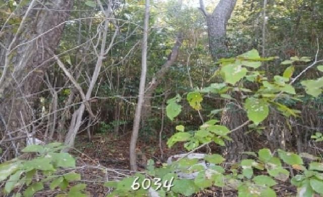 B000412202501300060342.jpg
