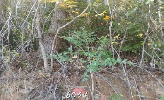 B000412202501300060341.jpg