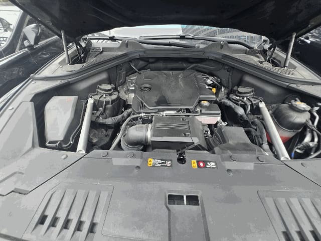 B000412202601300052434.jpg