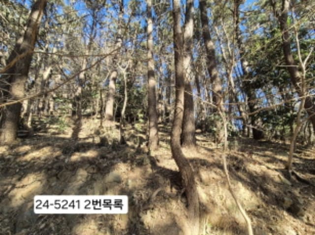 B0004142024013000524114.jpg