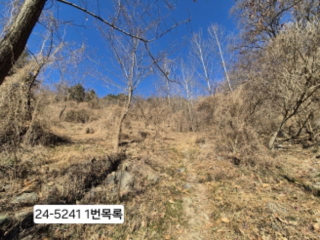 B0004142024013000524111.jpg