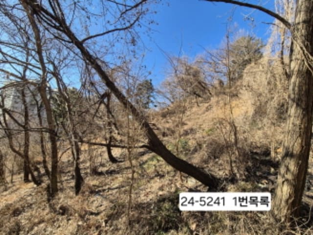 B0004142024013000524112.jpg