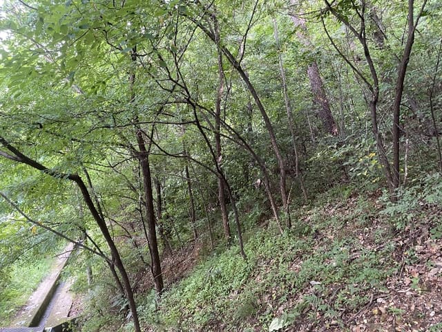 B0004142024013010709319.jpg