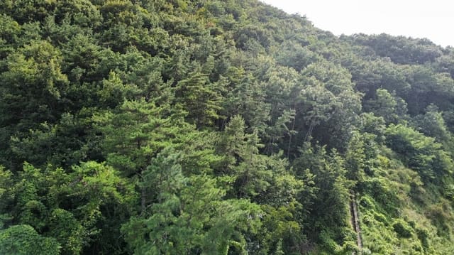 B0004142024013010709317.jpg