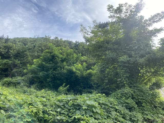 B0004142024013010709318.jpg